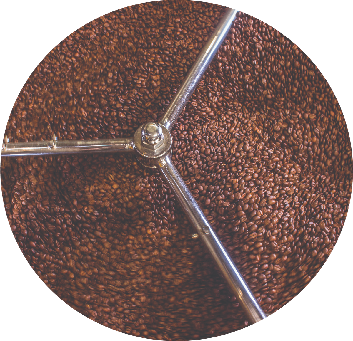 Nicely Roasted: Coffee Flavors Explained