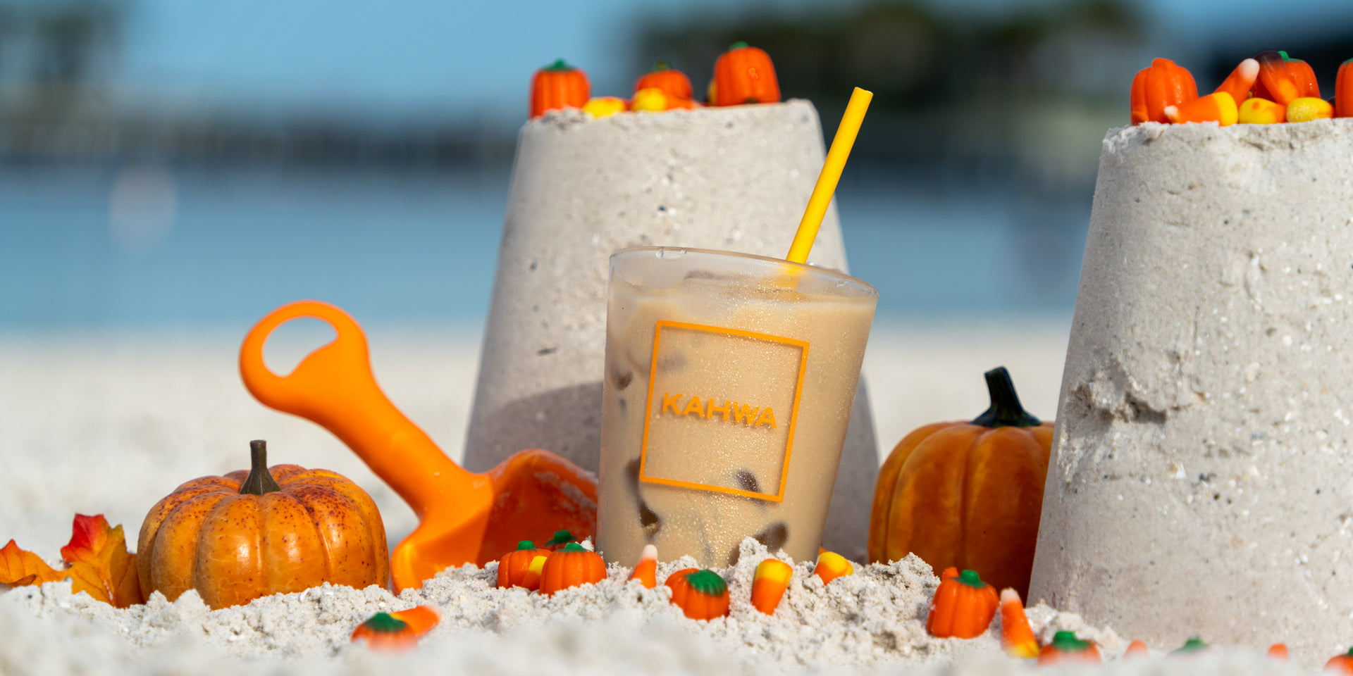 Pumpkin Spice is Back!