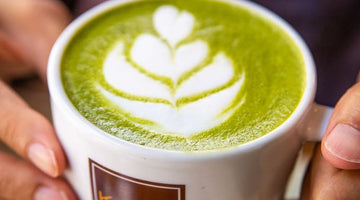 Mucho Matcha: A Powerful Green Tea