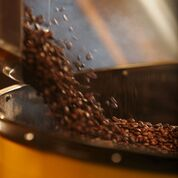 Put a Lid on It: How to Store Your Coffee