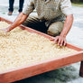 Bali Blue Moon Coffee Single Origin