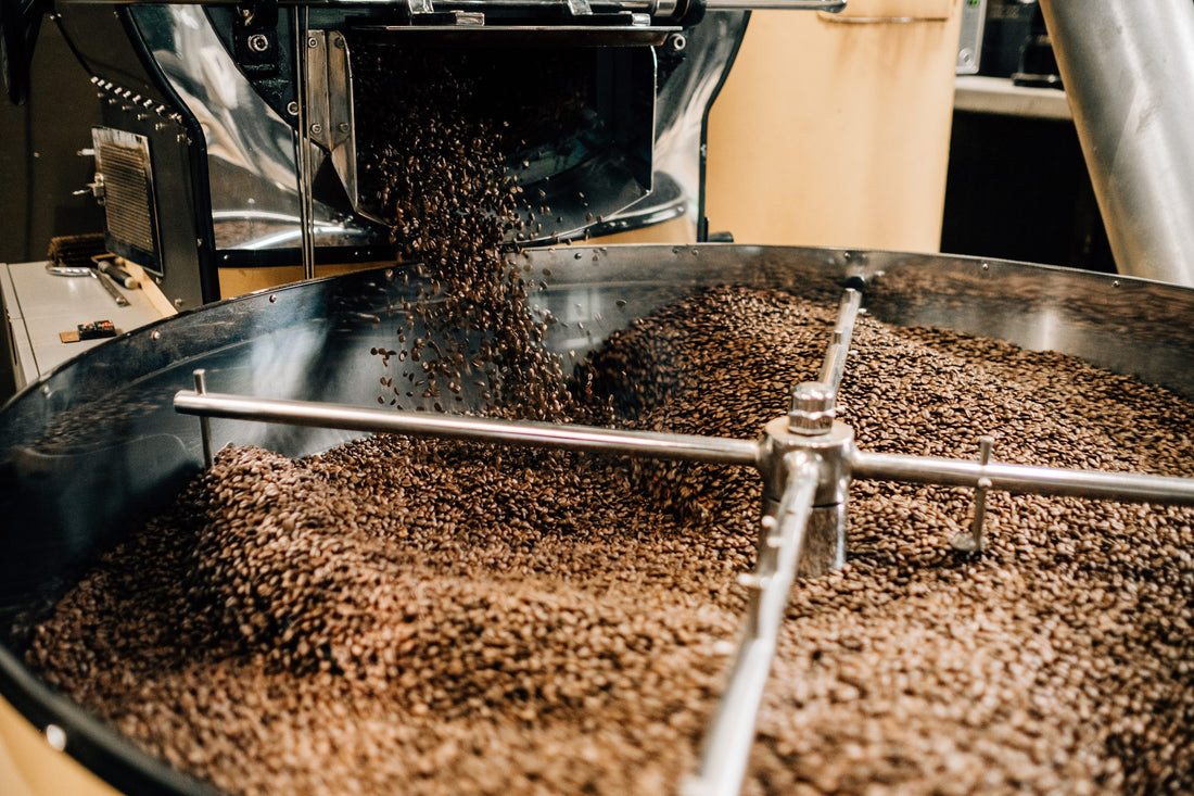 Freshly roasted coffee beans pouring from the roaster drum into the cooling tray at Kahwa's St. Petersburg roastery